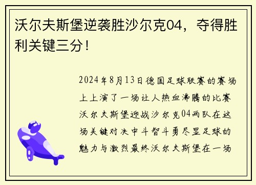 沃尔夫斯堡逆袭胜沙尔克04，夺得胜利关键三分！