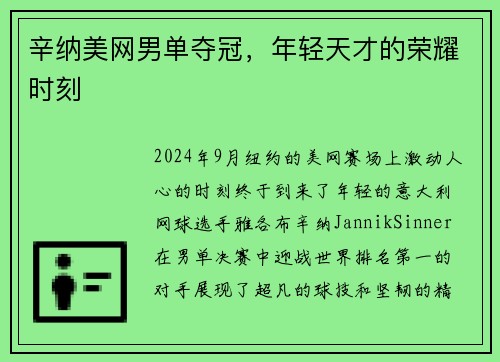 辛纳美网男单夺冠，年轻天才的荣耀时刻