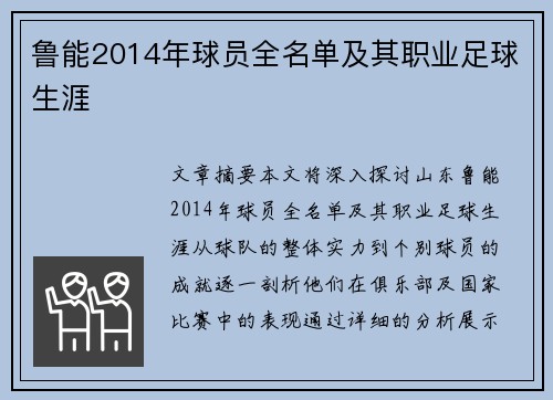 鲁能2014年球员全名单及其职业足球生涯