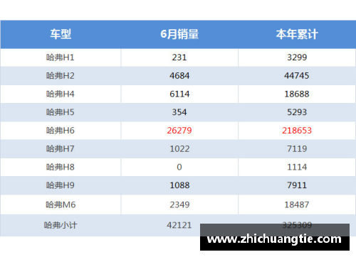 米乐M6官方网站火箭：强大，但又不一样的存在-静易墨 - 副本